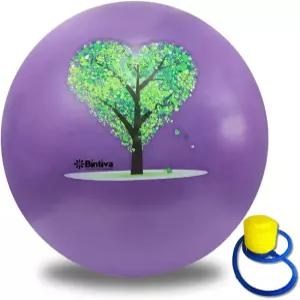 빈티바 운동 공