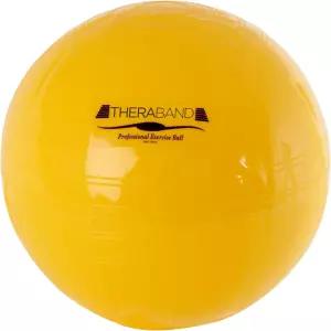 테라밴드 체육관 운동