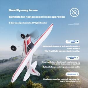 FMS 초보자 시리즈 500mm PA18 날으기 준비 완료 RC 글라이더 폼 소재 원격 제어 비행기 장난감 (연습 및