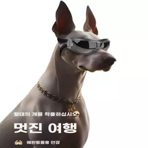 강아지 선글라스 고글 여행 UV차단 애견고글