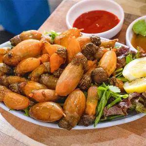 통영 생물 미더덕