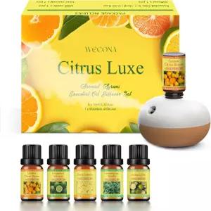 충전식 워터리스 오일 가정 자동차 사무실용 에센셜 6가지(10ml)가 된 2가지 미스트 모드 향기 스타터 키트