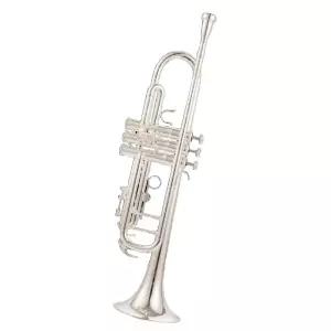 트럼펫 취주악기 기타 세트 스트링 금관 초보자용 입문용 튜너 학생 입문 악기 보라 관악기