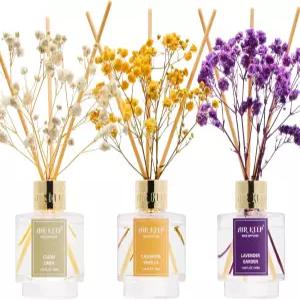 에어킵 리드 세트 3 클린 린넨 캐시미어 바닐라 라벤더 가든 오일 침실 거실 사무실 테라피 선물용 50ml x