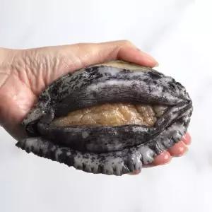 완도 활 전복 대 7미 1kg 프리미엄 선물용 싱싱한 당일발송 산지직송 건강식 보양식 WL