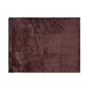 TBZ 브라운컬러 보온 양털담요 100x120cm 휴대용담요 침구