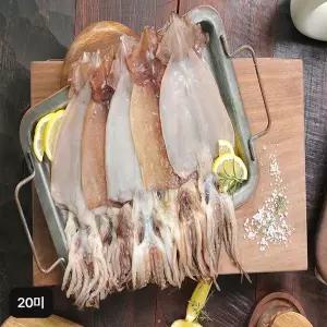 [NS홈쇼핑]구룡포 반건조오징어 20미(140g(2미)X10팩)[35775654]