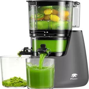 콜드 프레스 착즙기 6인치 초대형 피드 슈트 슬로우 저작 강력한 AC 브러시리스 모터 셀프 프리컷 시스템