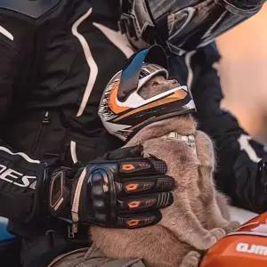 오토바이 하이바 강아지 고양이용 애완동물 바이크 헬멧 반려동물 개 고양