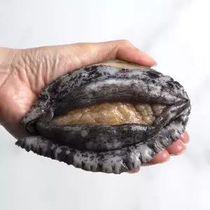 [초록초록팜]완도 활 전복 대 9미 1kg 선물용 싱싱한 당일발송 산지직송 건강식 보양식 WL