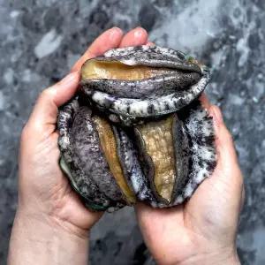 [초록초록팜]완도 활 전복 중 15미 1kg 싱싱한 당일발송 산지직송 건강식 보양식 WL