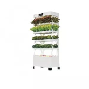 채소 스마트팜 가정용 수경재배기 상추 식물