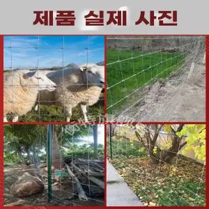 아연도금 펜스망 10구멍 농장 울타리 철망 닭장 양계장 동물 텃밭