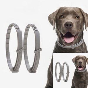 반려동물 모기 벌레 소형견용 강아지 진드기퇴치제 벌레퇴치 벌레제거 제거 퇴지