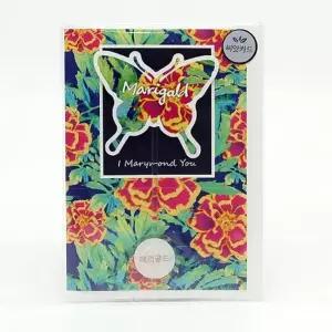 씨드스틱 꽃씨앗 마리몬드 나비 씨앗카드 메리골드