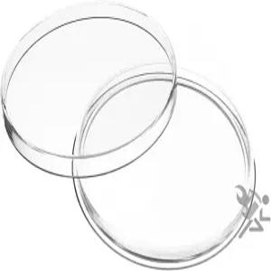 OnFireGuy 5pcs 65mm 다이렉트 핏 Y65 은화 홀더 캡슐 5온스 실버 리베르타드 및 피지 타쿠용 보호용 코인