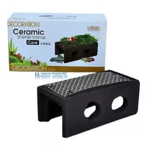 새우 치어들의 은신처 놀이터 및 산란상 [BJG96115]