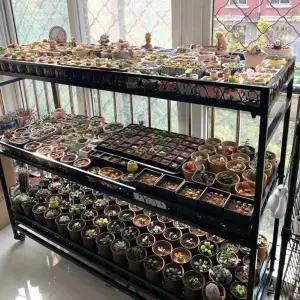 화분거치대 베란다 화분 다육이 받 베란다화분거치대