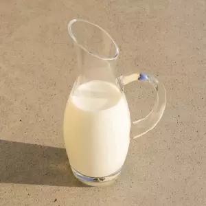 기본형 소믈리에 손잡이형 와인디켄터 1개