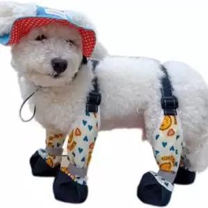 애견 산책용 신발 양말 하네스 강아지 바깥 반려견