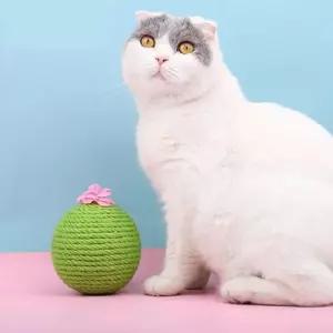 동글 선인장 꽃 고양이 스크래쳐볼