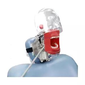 치과 교구 브래킷 치위생과 모형 마네킹 구강 헤드 실습용 이빨 시뮬레이션 베개형 치아모형