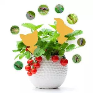 나비 트랩 화분 제거 벌레 10개입 퇴치 양면 화초 파 파리끈끈이 파리퇴치