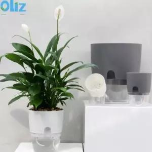 편리한 자동 물공급 화분 인테리어