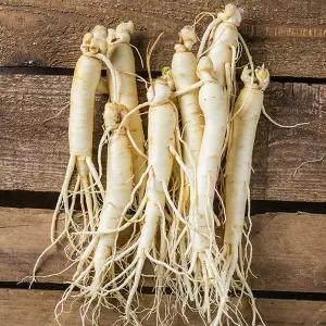 금산 인삼 세척 원수삼 소 375g 5년근 씻은 삼 진공포장 인삼차 국산 국내산 수삼 난발삼