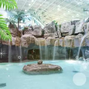 (로시즌 특가) 캐리비안베이 이용권(4/18~5/28)