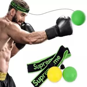 사라샵 펀치볼 복싱연습