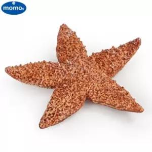 T6011 모형 완구 불가사리 인형 동물교구 피규어 바다장난감 장난감