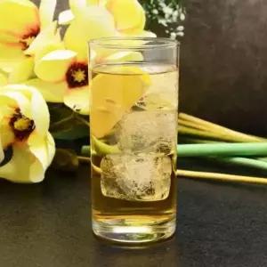 TBZ 르블랑 파우스트 롱드링크 1개