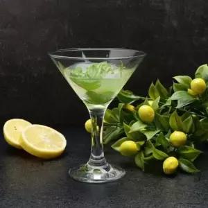 TBZ 하나쯤 필요한 기본형 마티니잔 1개