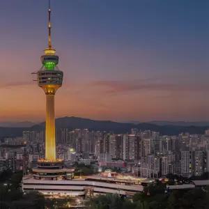 [얼리버드특가] 이월드 83타워 전망대+판다 전시PKG 5월