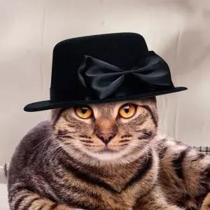 강아지 생일 파티 페도라 모자애완견 산책용 애견 반려견 패션