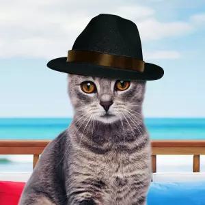 강아지 생일 파티 중절모산책용모자 애견 반려견 패션 애완견 용모자