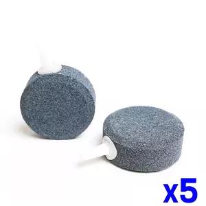 에어스톤 기포석 포돌 8cm x5개펌프 에어콩 에어스 공돌 수족관용품 포콩