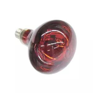 욕실 히터 램프 적색 난방 겨울 전기 난방기 조명