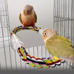 애완새스탠드 놀이기구 외롭지않은 애완 토이용품 새장 횃대 횟대 장소품 장꾸미기 둥지 새집 가성비좋은