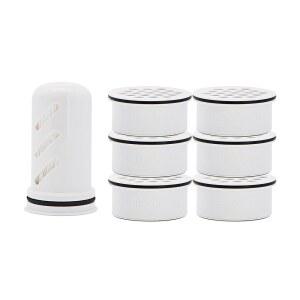 박테리아 기생충 미세 플라스틱 PFAS 및 30개 이상의 오염 물질로부터 보호하기 위한 라이프스트로우 가정용 물병 교체 팩 1년 공급