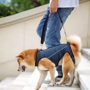 반려동물 보행 하네스 보조복 고령견 노견 재활 S펫용품 애견 강아지조끼 강아지옷 디스크기 애기 보조 애