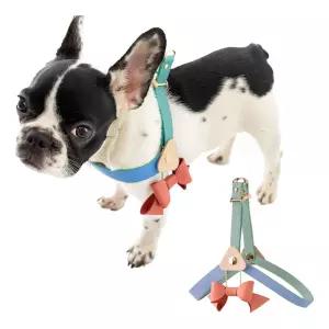 쏘울잇개 리본 하네스 프리미엄 강아지 가슴줄리드 목줄 소형견 가벼운 패션 산책 용품 가슴