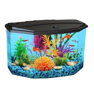 콜러 프로덕츠 플라스틱 3갤런 수족관 스타터 키트 4가지 색상의 LED 조명과 완벽한 여과 기능 다양한 열대어 베타 물고기 시클리드 관상용 새우에 이상적입니다