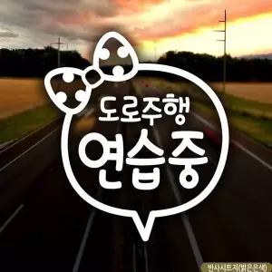 [알티피아]bns 자동차스티커 도로주행연습중 초보운전 반사시트지