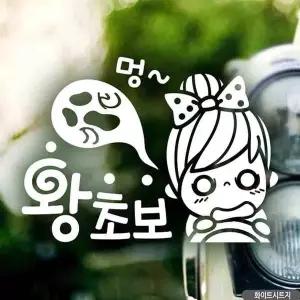 [알티피아]bns 자동차스티커 멍 왕초보 화이트시트지