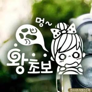 [알티피아]bns 자동차스티커 멍 왕초보 반사시트지