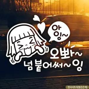 [알티피아]bns 자동차스티커 아잉오빠넘붙어써잉 초보운전 반사