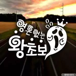 [알티피아]bns 자동차스티커 영혼없는왕초보 초보운전 화이트시트지
