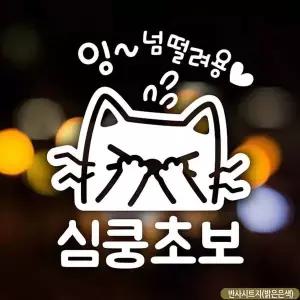 [알티피아]bns 자동차스티커 잉넘떨려용 심쿵초보 초보운전 반사